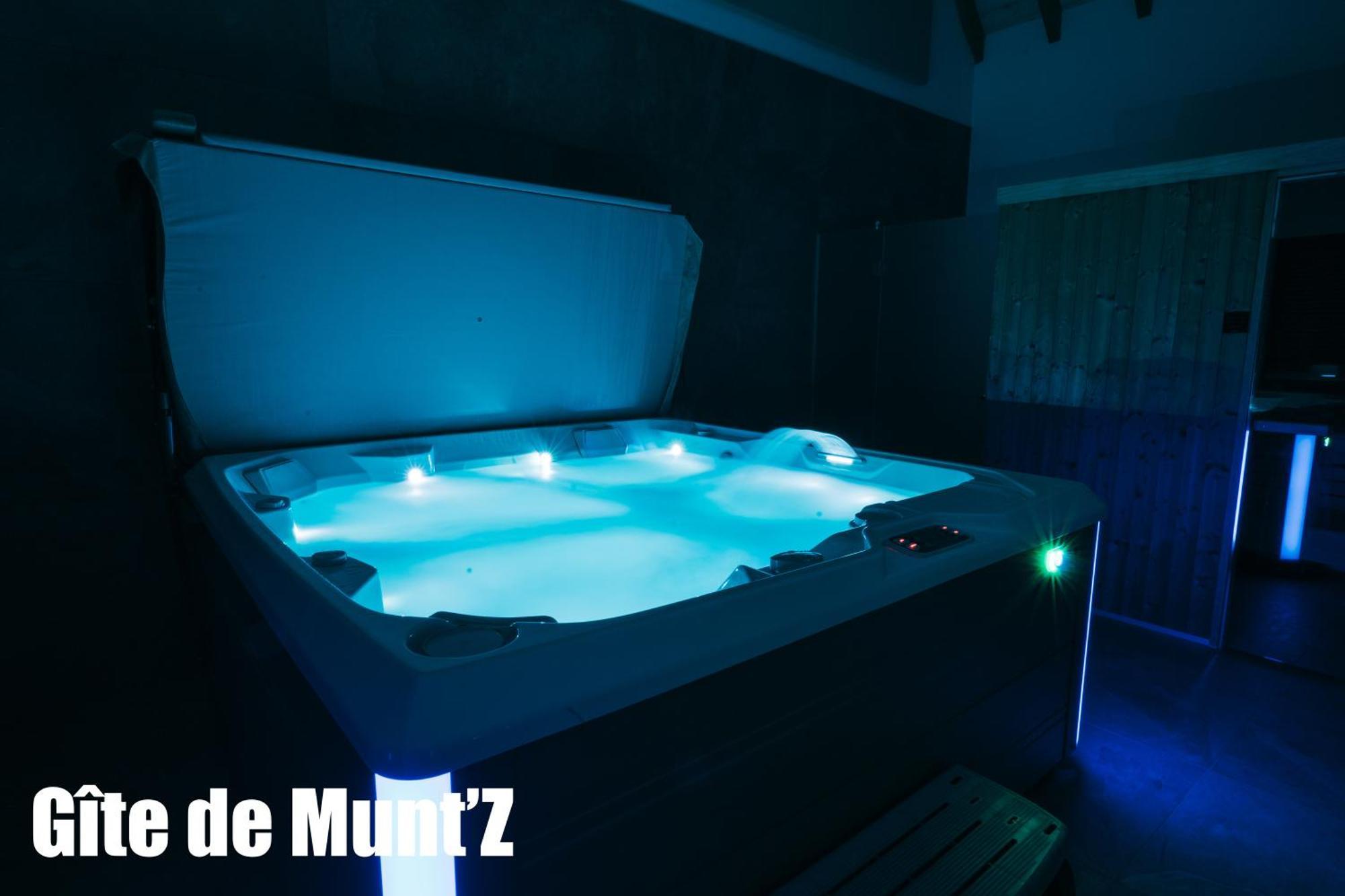 Gite De Munt'Z Spa, Sauna, Piscine, Proche De Colmar Muntzenheim Zewnętrze zdjęcie